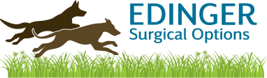 Edinger Surgical Options Home